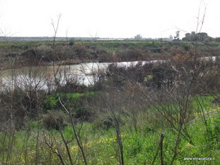 lle del Simeto-24-02-2013 10-10-51